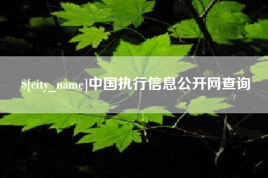 章丘中国执行信息公开网查询