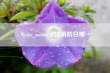 章丘全国消防日哪一