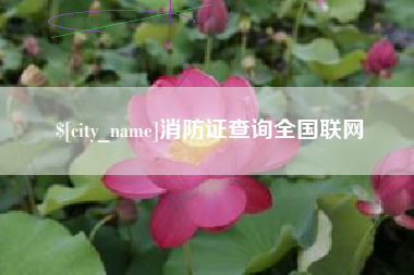 章丘消防证查询全国联网