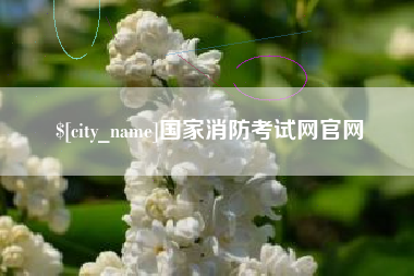 章丘国家消防考试网官网