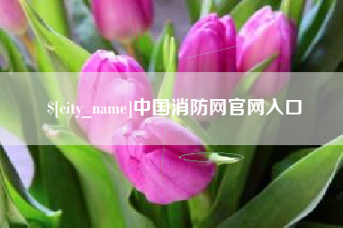 章丘中国消防网官网入口