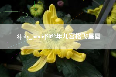 章丘2022年九宫格飞星图