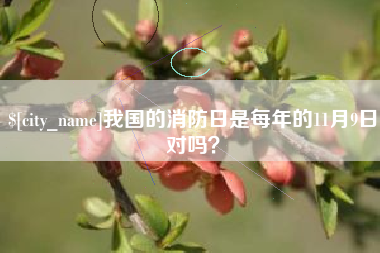 章丘我国的消防日是每年的11月9日对吗？