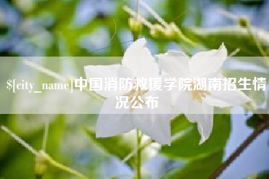 章丘中国消防救援学院湖南招生情况公布