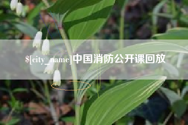 章丘中国消防公开课回放