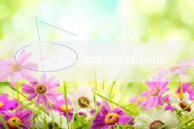 章丘中国消防网1190119
