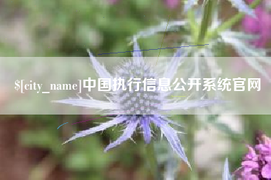 章丘中国执行信息公开系统官网