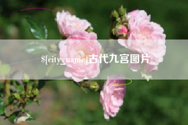 章丘古代九宫图片