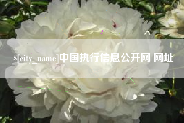 章丘中国执行信息公开网 网址