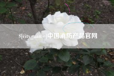 章丘中国消防产品官网