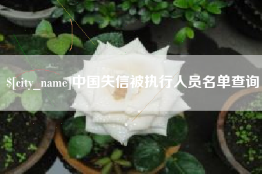 章丘中国失信被执行人员名单查询