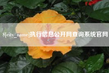 章丘执行信息公开网查询系统官网