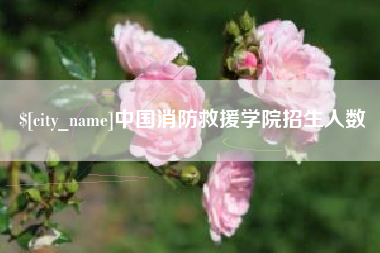 章丘中国消防救援学院招生人数