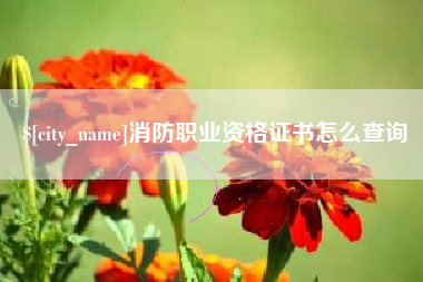 章丘消防职业资格证书怎么查询
