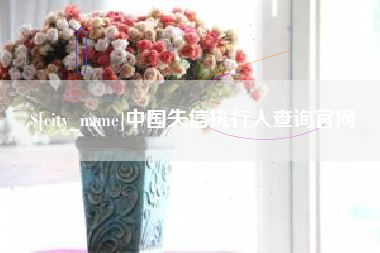 章丘中国失信执行人查询官网