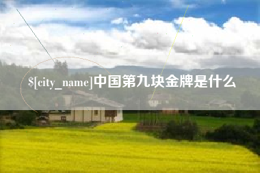 章丘中国第九块金牌是什么