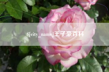 章丘王子豪百科