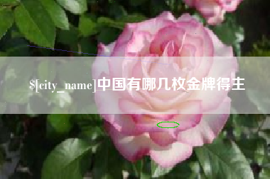 章丘中国有哪几枚金牌得主