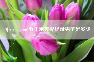 章丘五千米世界纪录男子是多少