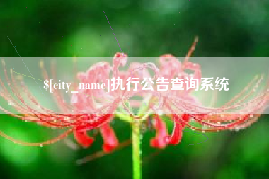 章丘执行公告查询系统