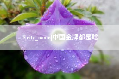 章丘中国金牌都是啥