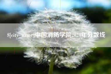 章丘中国消防学院2024年分数线
