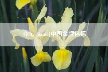 章丘中国金牌包括