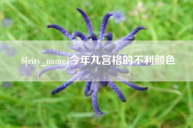 章丘今年九宫格的不利颜色
