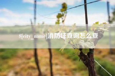章丘消防证查询怎么查