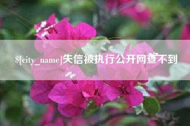章丘失信被执行公开网查不到