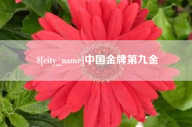 章丘中国金牌第九金