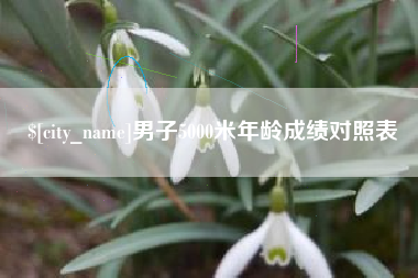 章丘男子5000米年龄成绩对照表