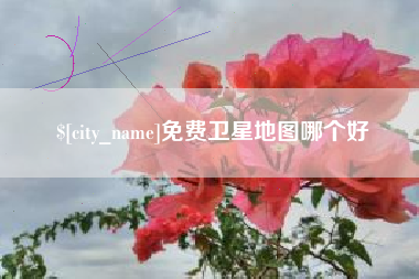章丘免费卫星地图哪个好