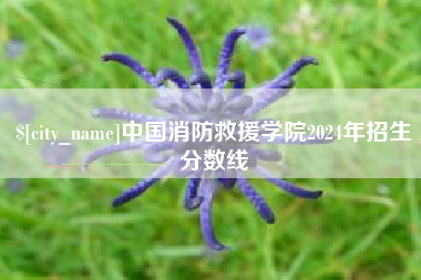 章丘中国消防救援学院2024年招生分数线