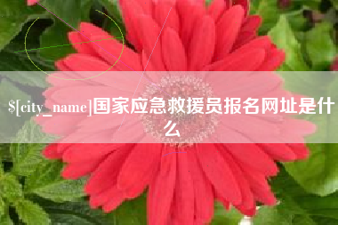 章丘国家应急救援员报名网址是什么