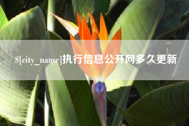章丘执行信息公开网多久更新