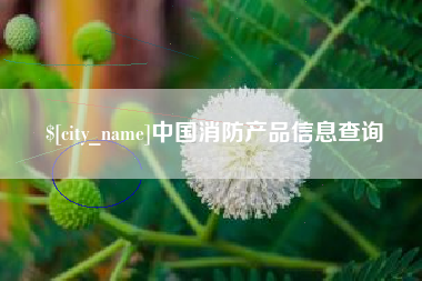 章丘中国消防产品信息查询