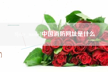 章丘中国消防网址是什么