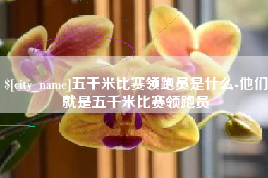 章丘五千米比赛领跑员是什么-他们就是五千米比赛领跑员