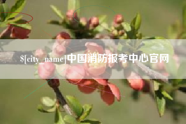 章丘中国消防报考中心官网