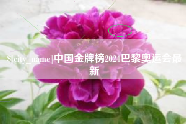 章丘中国金牌榜2024巴黎奥运会最新
