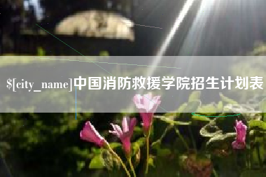 章丘中国消防救援学院招生计划表