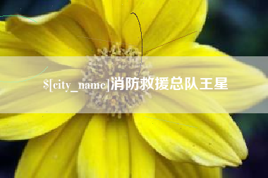 章丘消防救援总队王星
