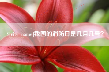 章丘我国的消防日是几月几号？