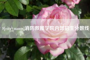 章丘消防救援学院内部招生分数线