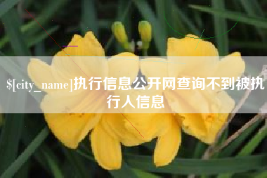 章丘执行信息公开网查询不到被执行人信息