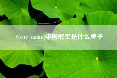 章丘中国冠军是什么牌子