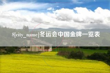 章丘冬运会中国金牌一览表