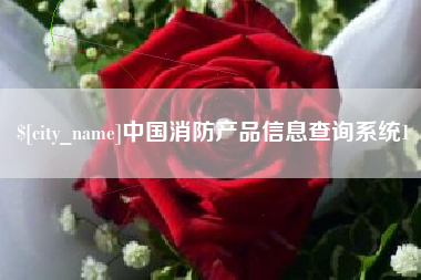 章丘中国消防产品信息查询系统1