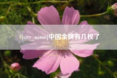 章丘中国金牌有几枚了